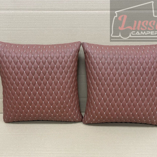 A Pair of Custom Scatter Cushions